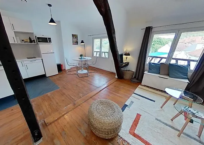 Vue Sur Seine Apartment *